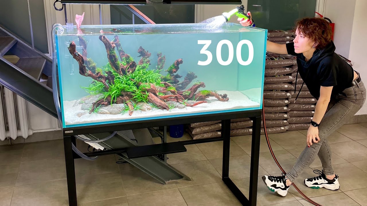 Аквариум 300 л - Запуск / Фильтр Oase BioMaster 850 / 2 Часть