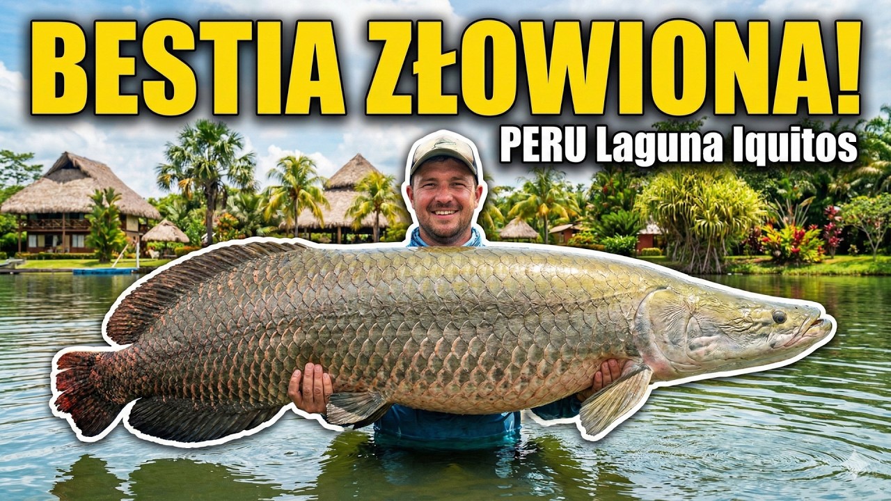 🎣 Fishing Sim World Pro Tour 🎣 Peru  - Polowanie na arapaimę - Laguna Iquitos