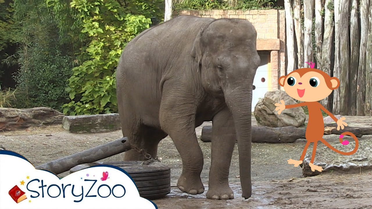 StoryZoo op avontuur in de Dierentuin 🦁 | Olifant 🐘 | Educatieve video's voor kinderen