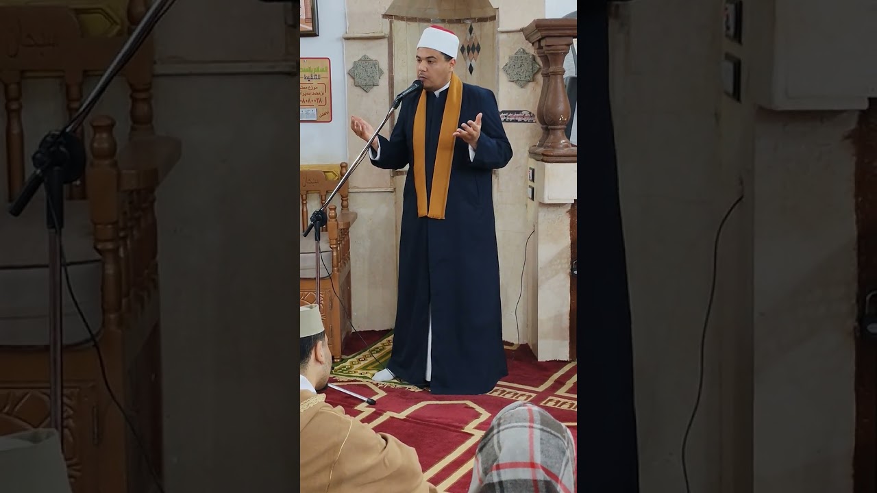 ١١ فبراير ٢٠٢٦