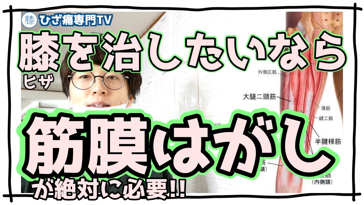 【ひざ痛改善に筋膜はがしは必須!!】筋膜の癒着で問題になりやすい「SGB」の解説と解決方法をサクッと伝授!!《東京ひざ痛専門整体院 京四郎 -KYOSIRO-》#ひざ痛#筋膜はがし#京四郎
