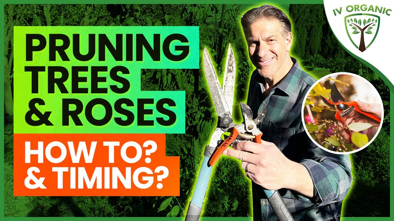Simple Pruning Tricks That Will Make Your Garden THRIVE