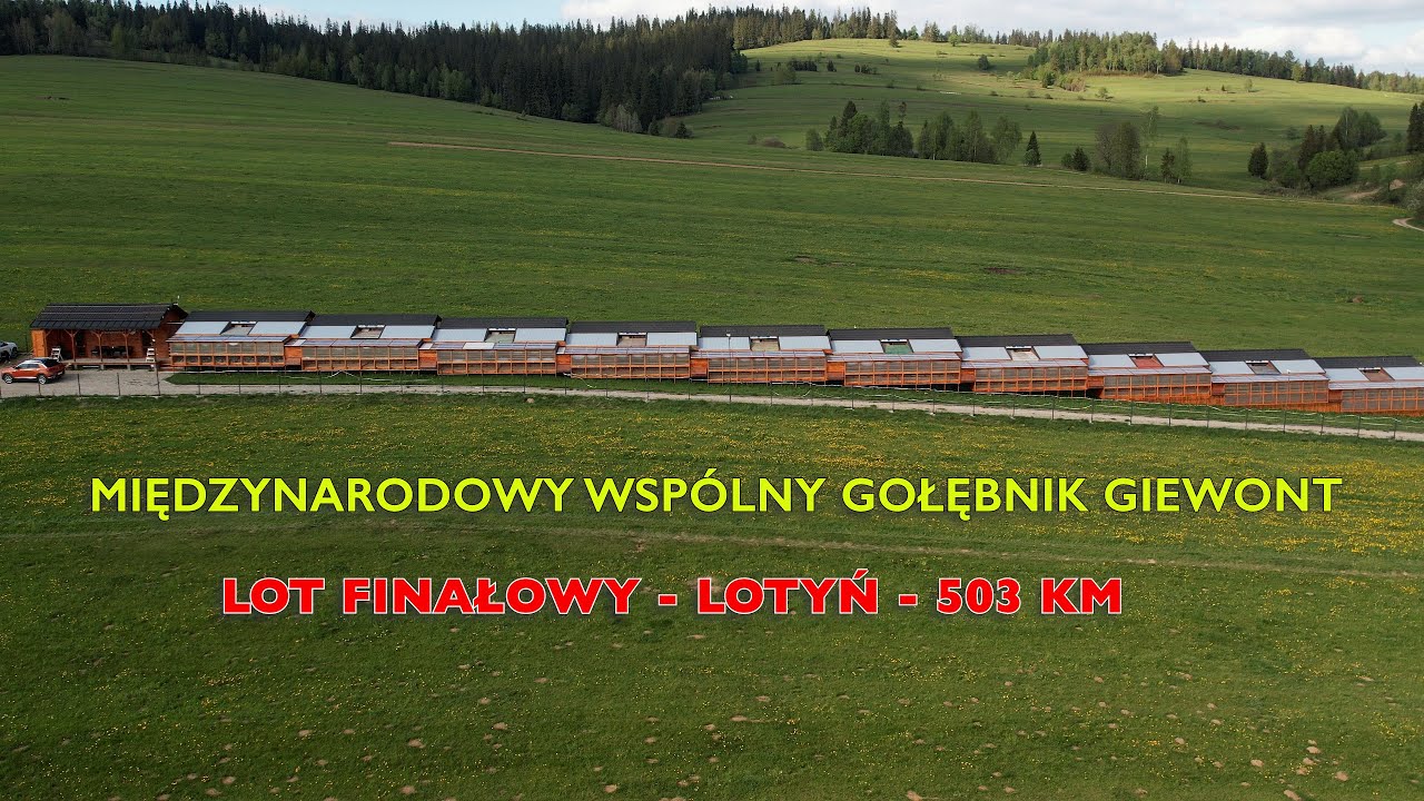 ФИНАЛ 2025 MWG Гевонт - Полёт 503 км - 21.09.2025