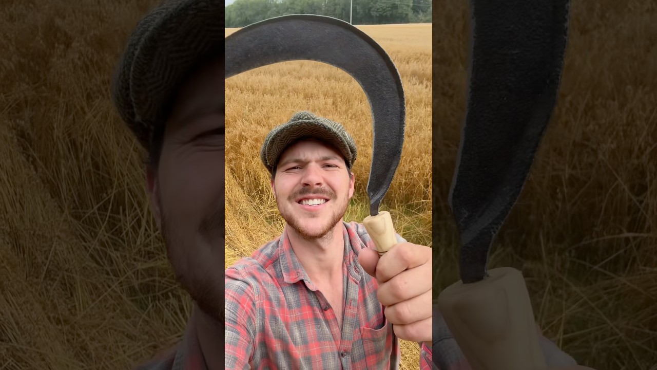 Restoring and using a Sickle #ireland #restoration #sickle #folklore #history #agriculture #straw