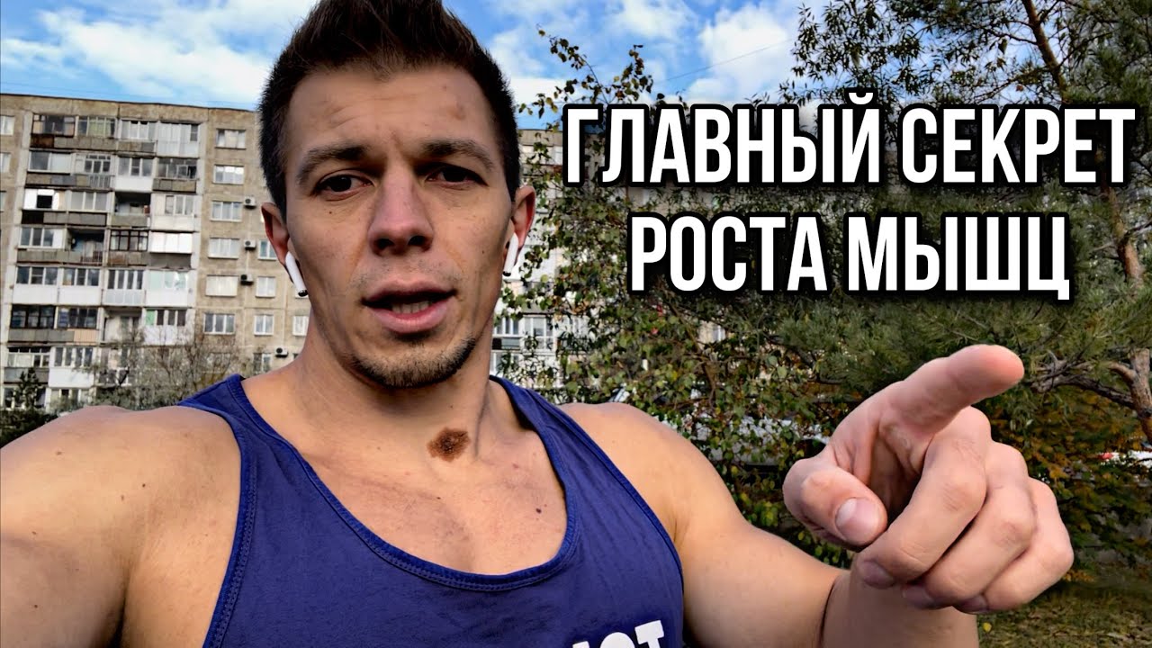 ОТ ЧЕГО РАСТУТ МЫШЦЫ? КАК НАПИСАТЬ ПРОГРАММУ ТРЕНИРОВОК?