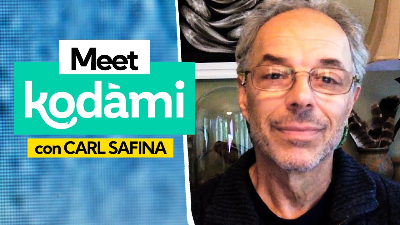 Carl Safina: gli animali pensano e provano emozioni come amore, amicizia e dolore
