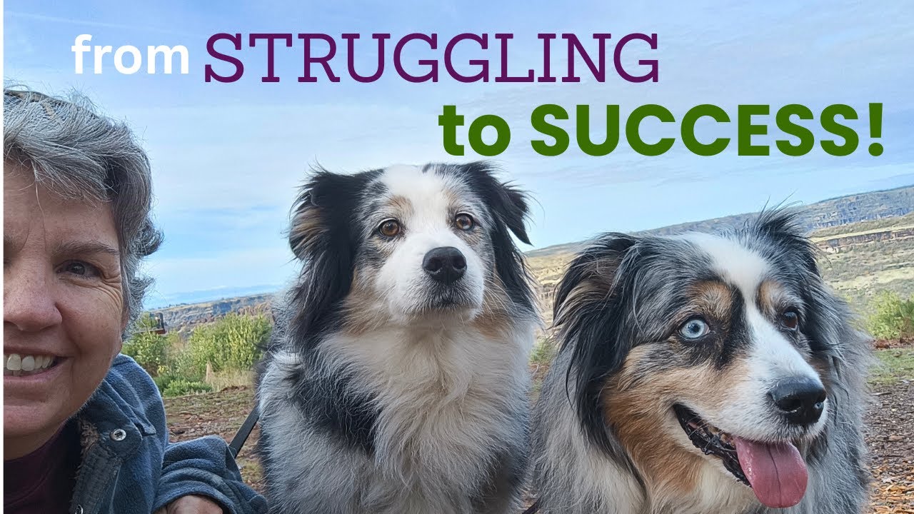 I Dedicated YEARS to Becoming An Animal Communicator (Here's what I learned)