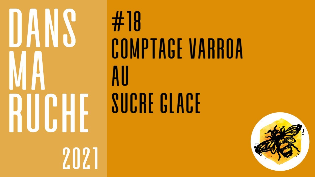 Le comptage varroa au sucre glace