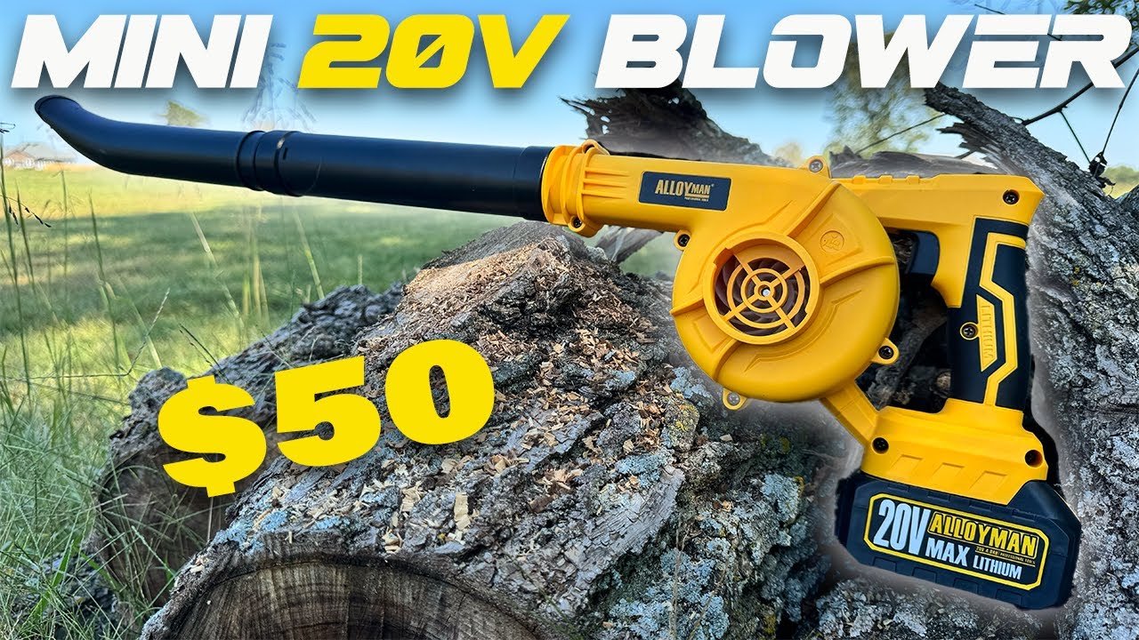 CHEAPEST 20v Mini Leaf Blower on Amazon - Is It Any Good?