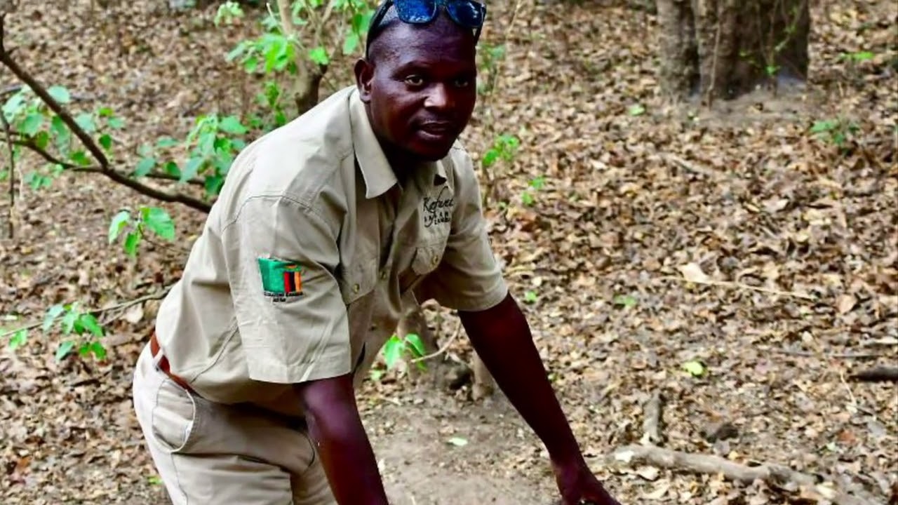 Zambia