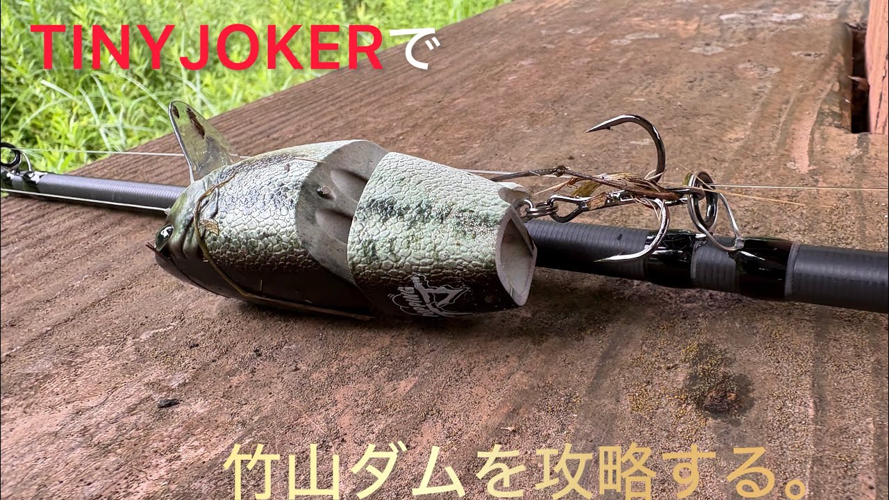 【TINYJOKER】タイニージョーカーを使用してみて。釣行と説明。　#バス釣り　#バスフィッシング　#drt  #鹿児島バス釣り #宮崎バス釣り