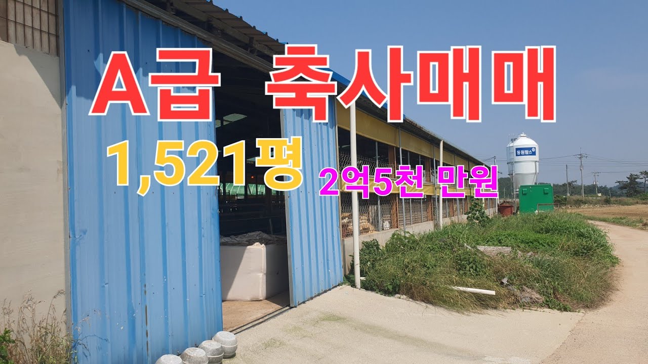 신성티브이[축사매매]☎️010 4606 4788흑염소 시설 상태  A급 축사매매 및 염소분양 입니다. #축사매매 #염소분양 #흑염소 #염소