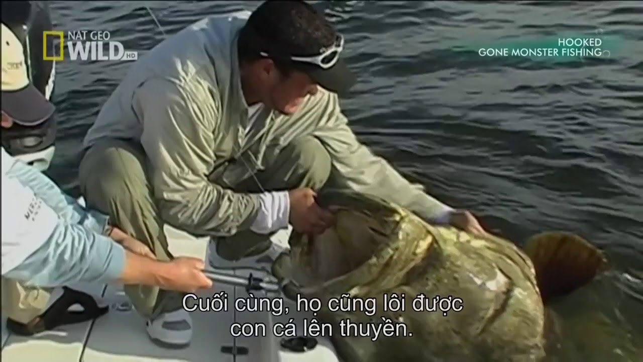 [Discovery Ocean]  Giant groupers to world #1 HD 2016