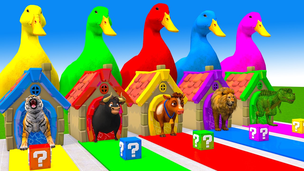 Long Slide Game With Cow Elephant Gorilla Hippopotamus Tiger 3d Animal Game Funny 3d Animals