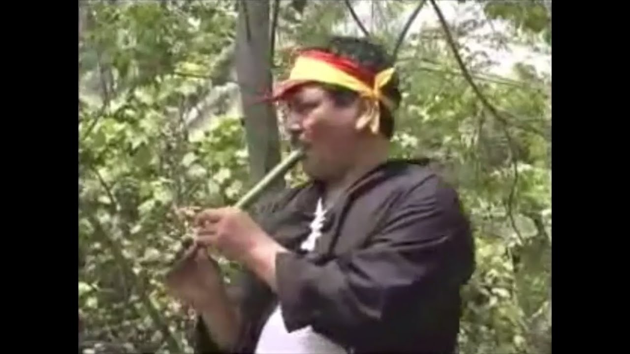 Mix 2 (Bailando En Lamas, Amaneciendo En La Selva, Recuerdos Que No Volverán) - Los Hijos De Lamas