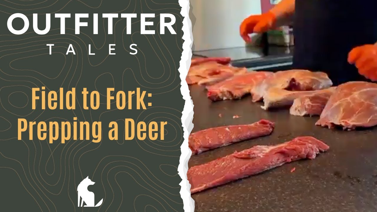 Outfitter Tales: From Field to Fork - Prepping a Deer in Record Time 🦌🔪