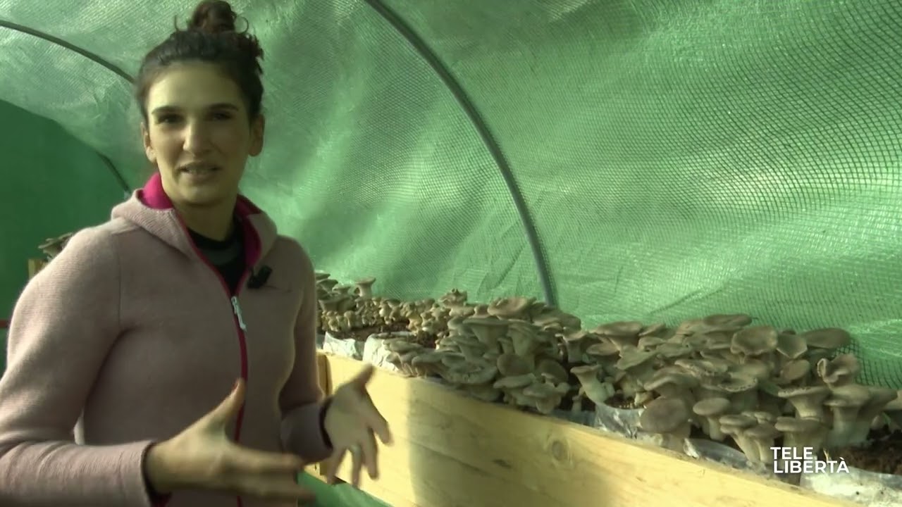 Storie di voi, il sogno di Mauro e Grazia: vivere in un’oasi di biodiversità
