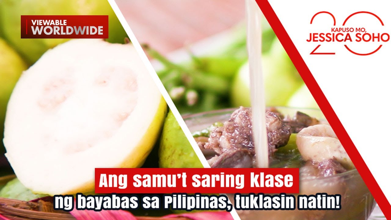 Ang samu&rsquo;t saring klase ng bayabas sa Pilipinas, tuklasin natin! | Kapuso Mo, Jessica Soho