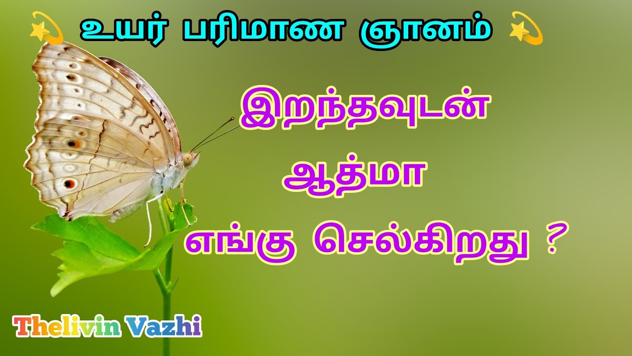 இறந்தவுடன் ஆத்மா எங்கு செல்கிறது? | மரணம் ஒரு மாயை | ஆத்மாவின் உண்மை பயணம் (Higher Soul Wisdom)