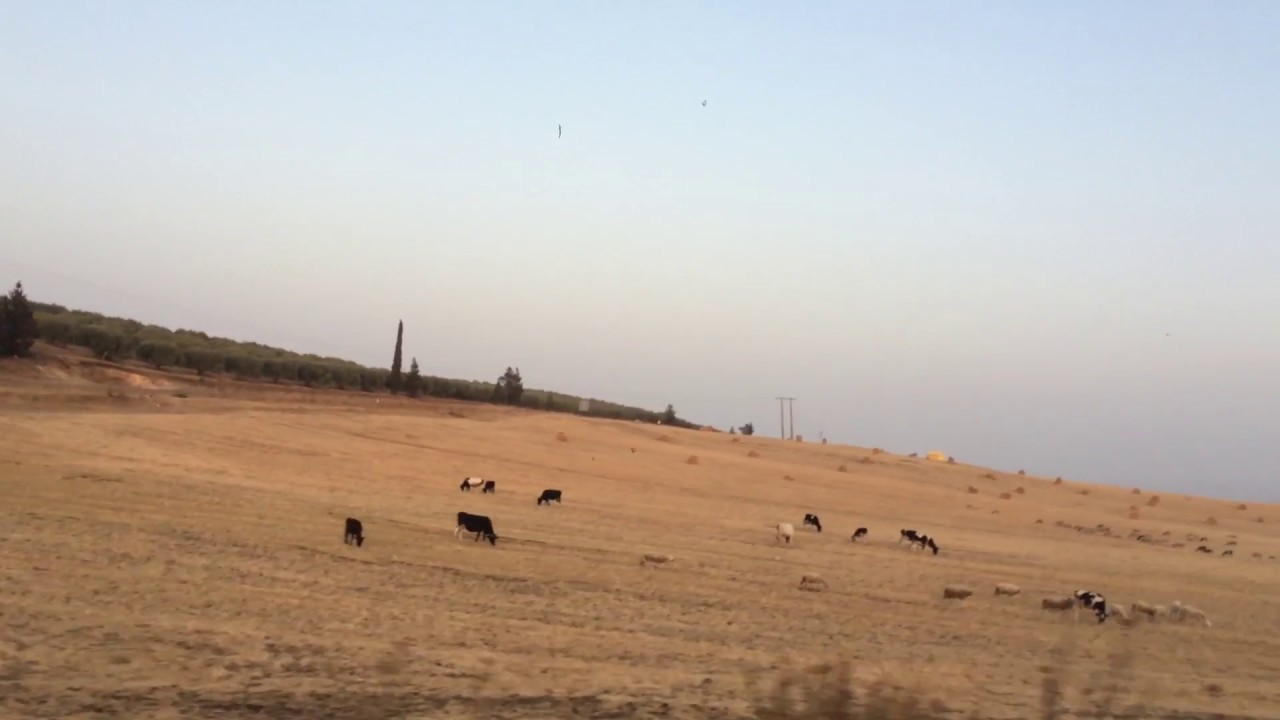 Taounate, Mkansa, Morocco