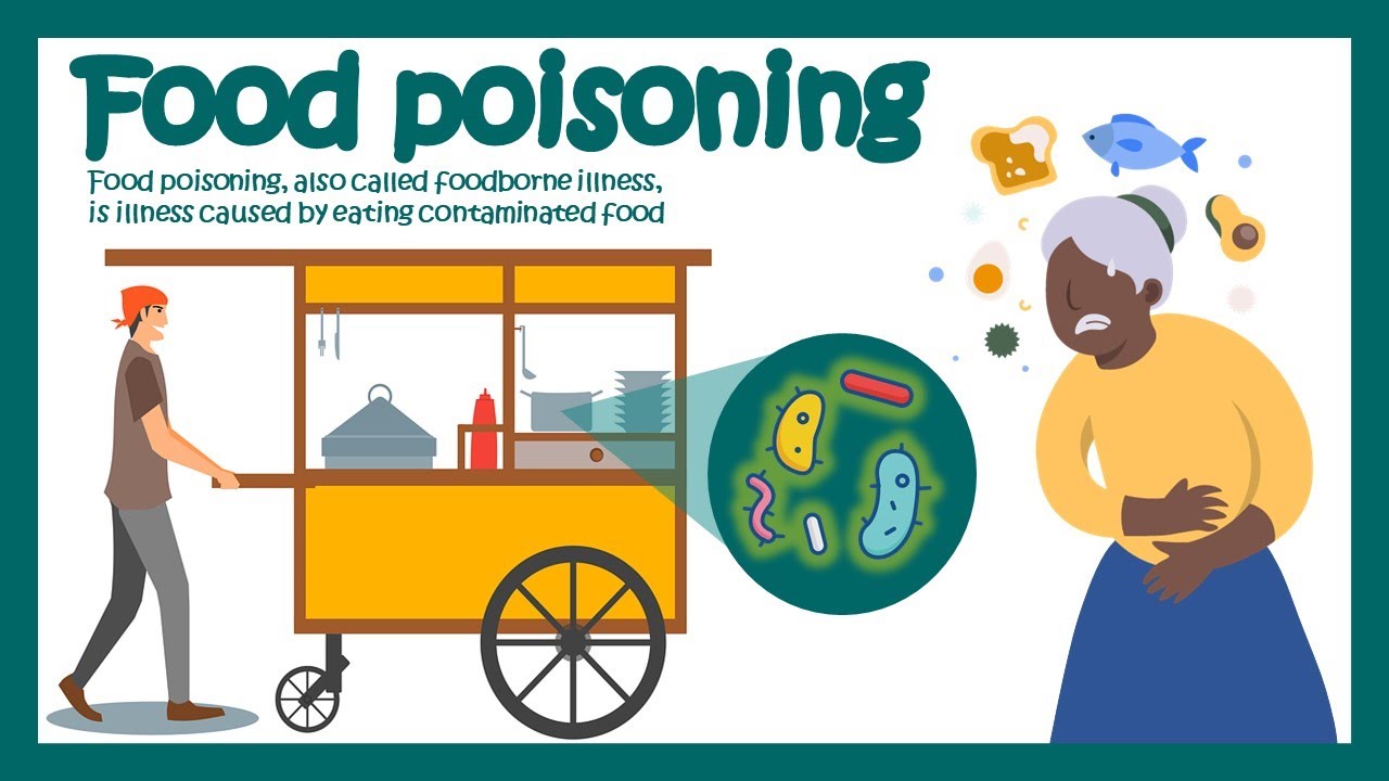 Food Poisoning  | Causes, Symptoms, and Treatment | How long does food poisoning last? | What to do?