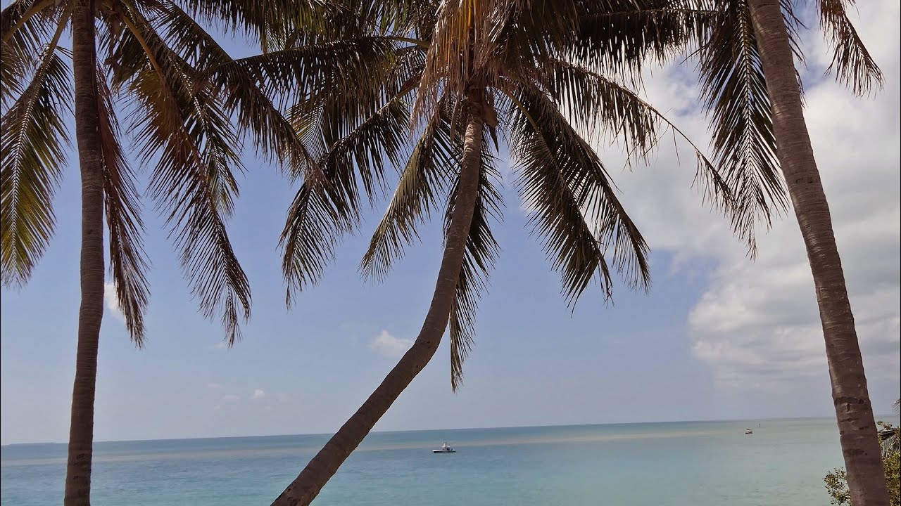 Florida Keys Beautiful Views: Old Seven Mile Bridge Walking Tour * Marathon FL To Pigeon Key