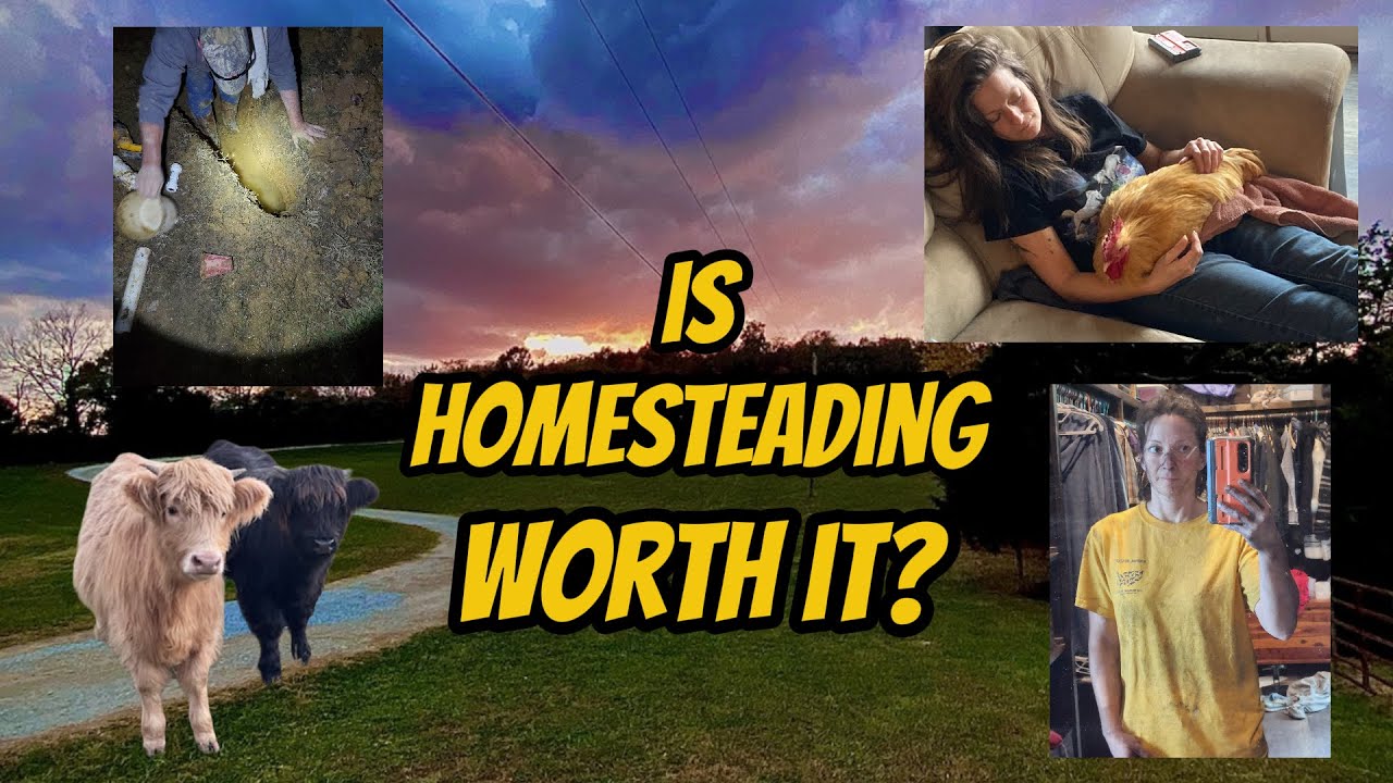 Homesteading Reality Check: 8 Things to Know BEFORE You Start