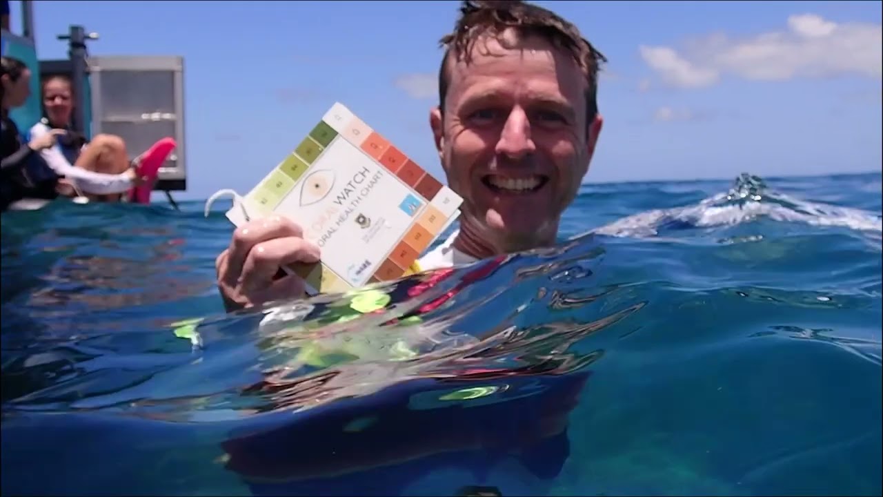 Monitoring coral health - CoralWatch