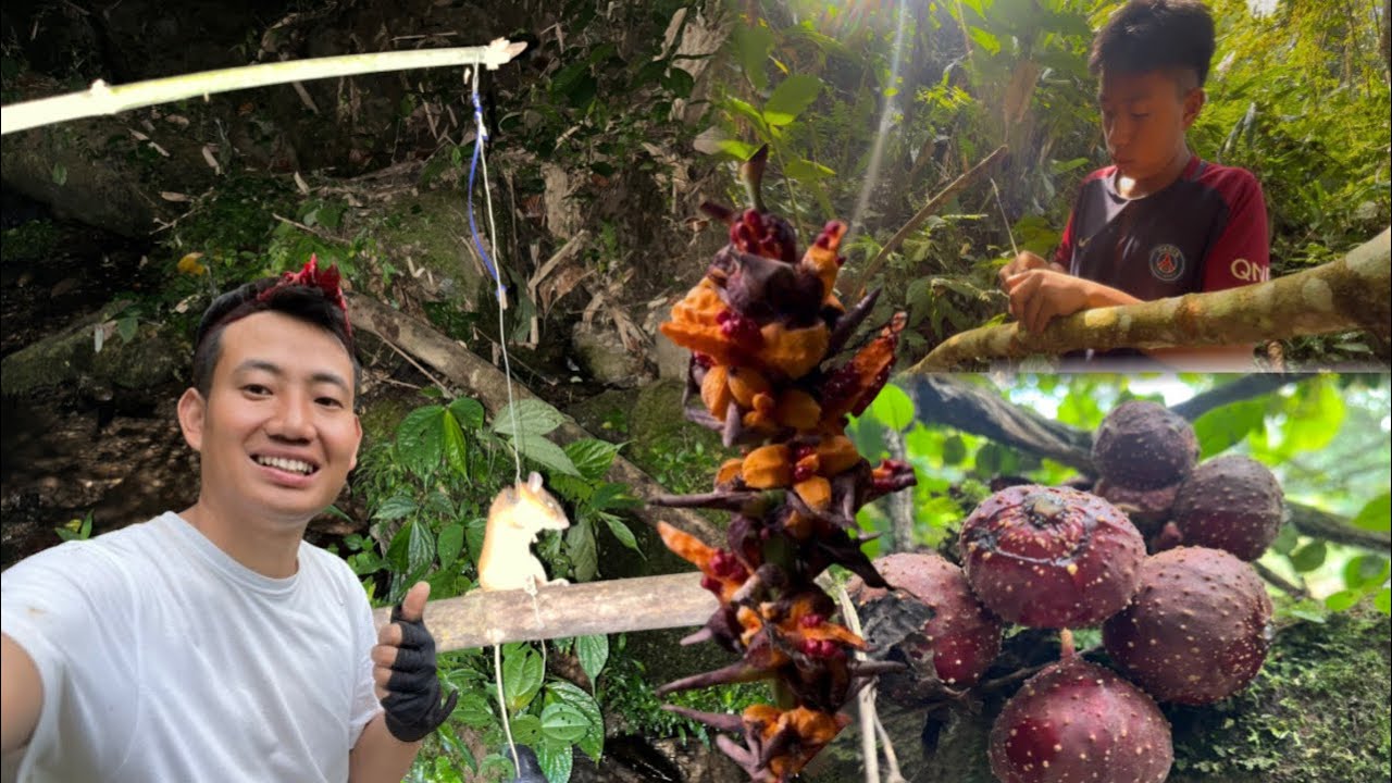 Catching a Wild Rat 🐀in the Deep Forest | Arunachal Pradesh village life.🇮🇳