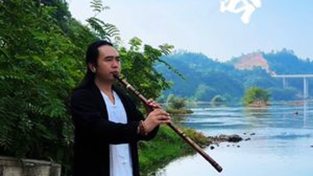 葬花吟洞箫版，花谢花飞飞满天，红消香断有谁怜，经典曲目百听不厌#洞箫 #创作人计划 #传统文化 #红楼梦