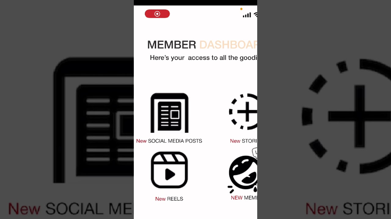 847Studio.com - MEMBER DASHBOARD OVERVIEW