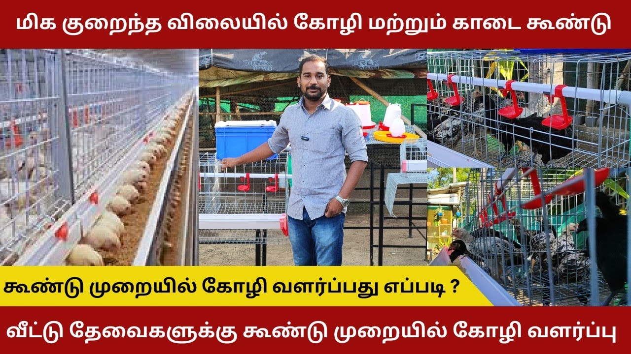 குறைவான விலையில் தரமான கோழி கூண்டுகள் 🐓||