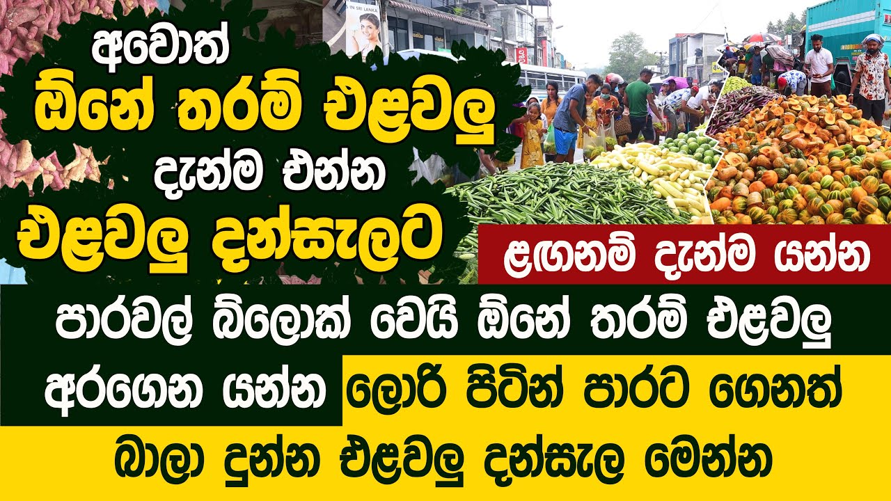 එළවලු දන්සැල ඕනේ තරම් එළවලු අරගෙන යන්න දැන්ම එන්න - Vesak Elawalu Dansala