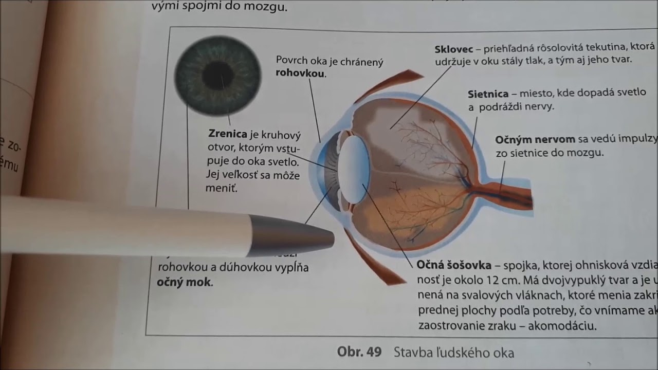 Optické vlastnosti oka