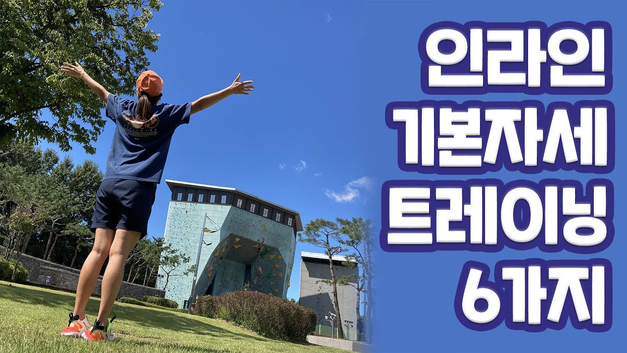 [인라인 홈트] 6종 선물세트 | 인라인 기본자세 트레이닝