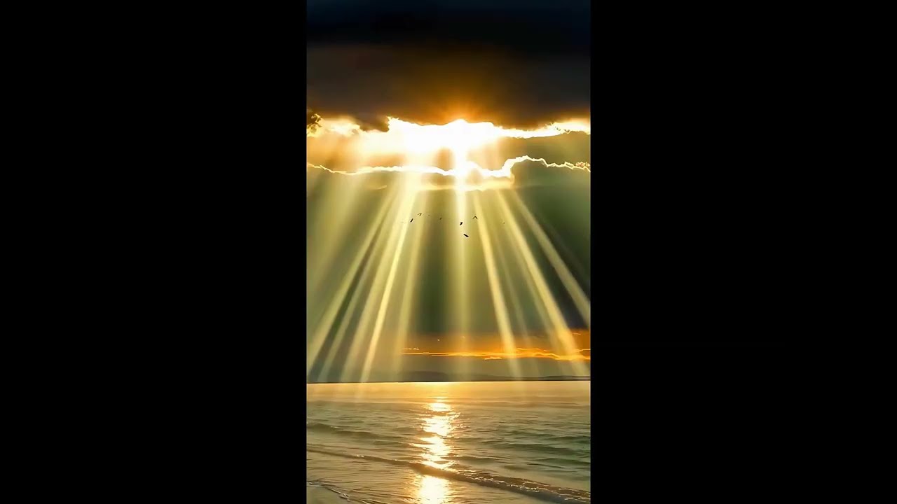 Так не бывает — сделано в Clipchamp