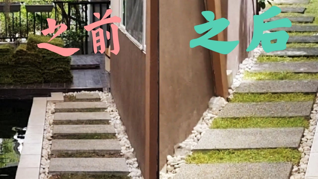 自己动手给家里铺草坪，铺完家里花园瞬间高一个档次
