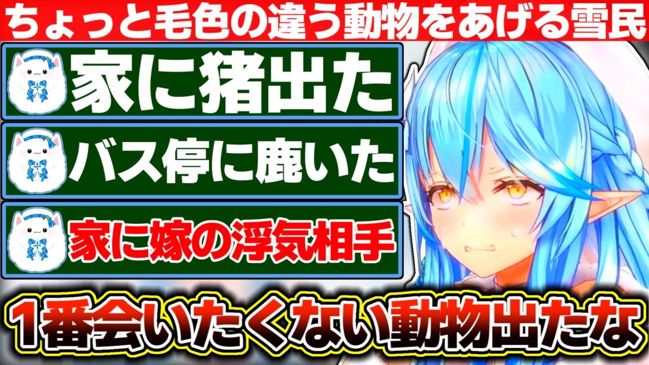 『家に出た動物』の話題で猪や鹿に並んで『嫁の浮気相手』とちょっと毛色の違う動物をあげる雪民に困惑する雪花ラミィ【ホロライブ/雪花ラミィ】