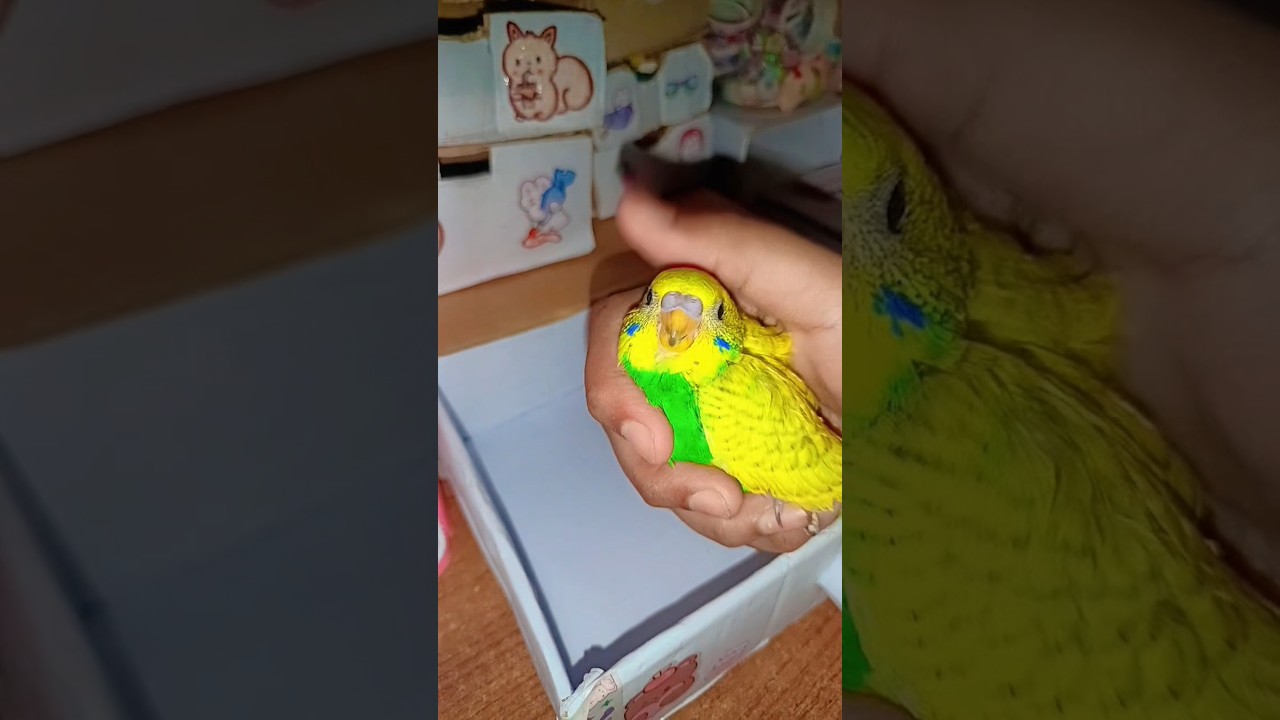 Packing order fake🥰😄#shortsviral #packingfakeorder #unboxing #love #cute #trending #kpop #diy #new