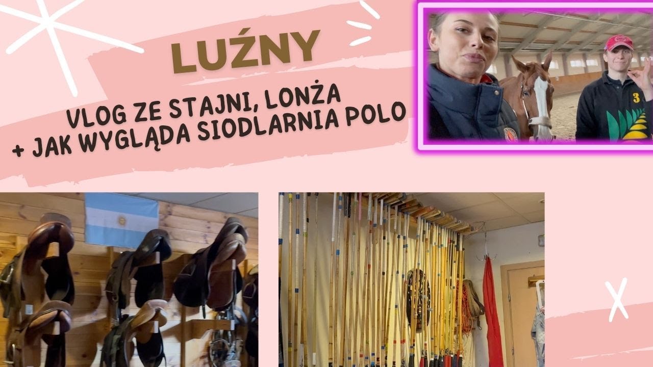 Luźny vlog ze stajni + jak wygląda siodlarnia polo