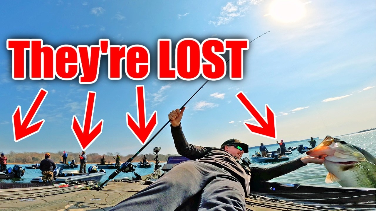 They COMPLETELY Forgot how to Fish...
