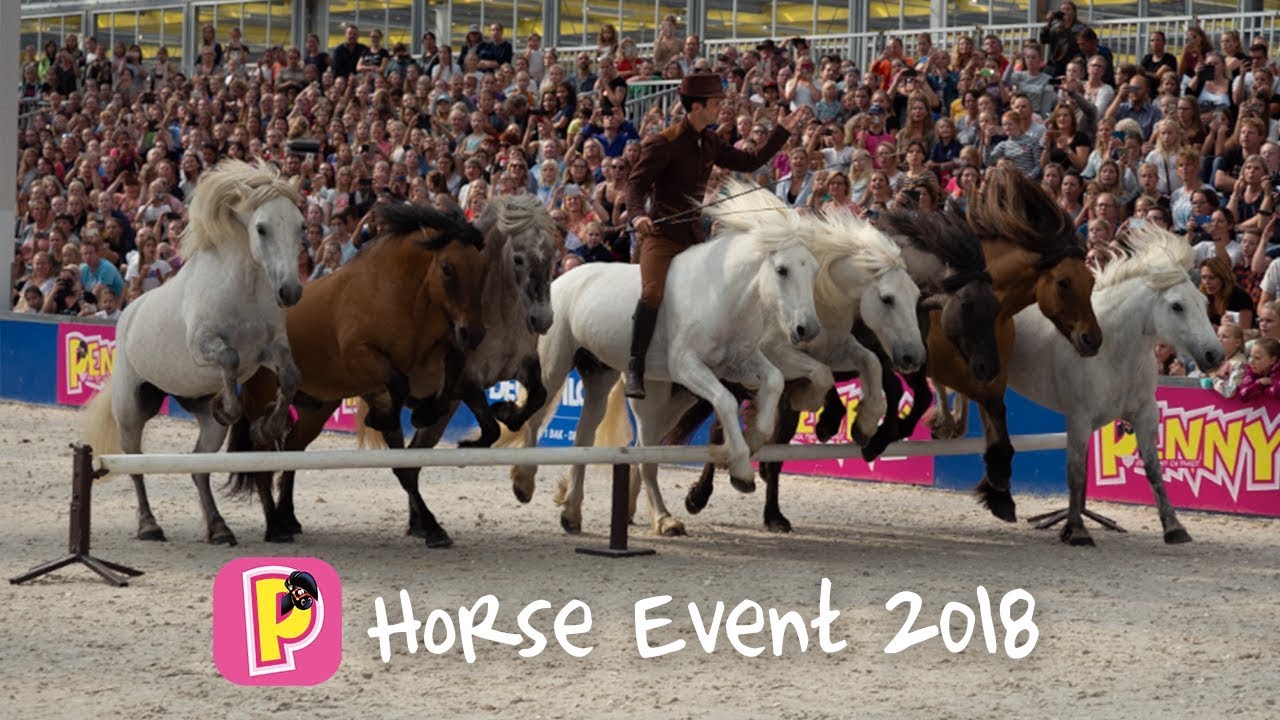 Penny Aftermovie Horse Event 2018 | PennyTV