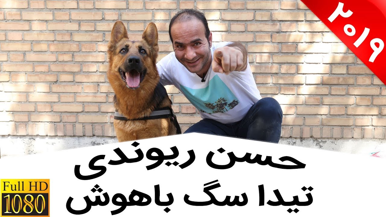 Hasan Reyvandi & Tida Dog | حسن ریوندی - تست باهوش ترین سگ  تیدا