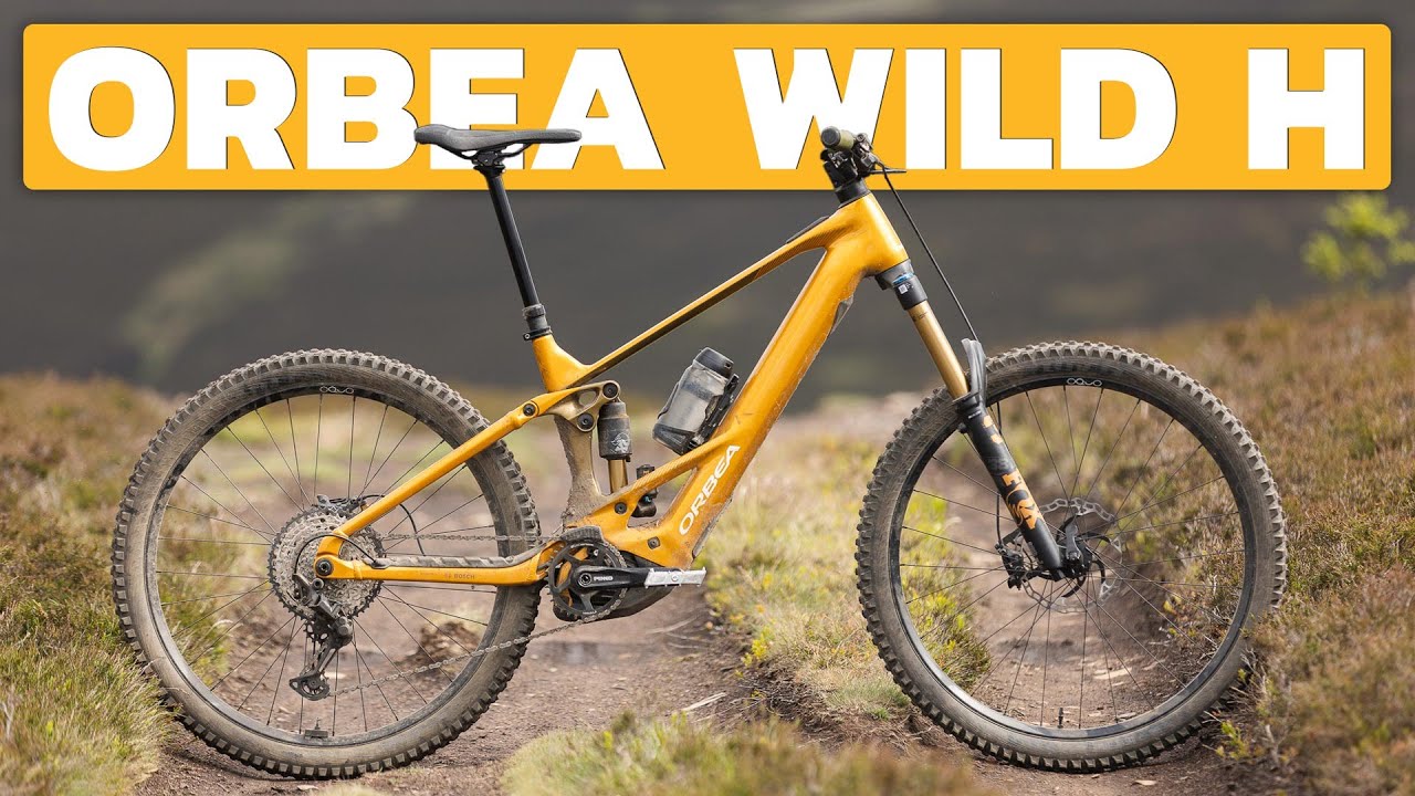 Сплав лучше, чем цена? Обзор ORBEA WILD H
