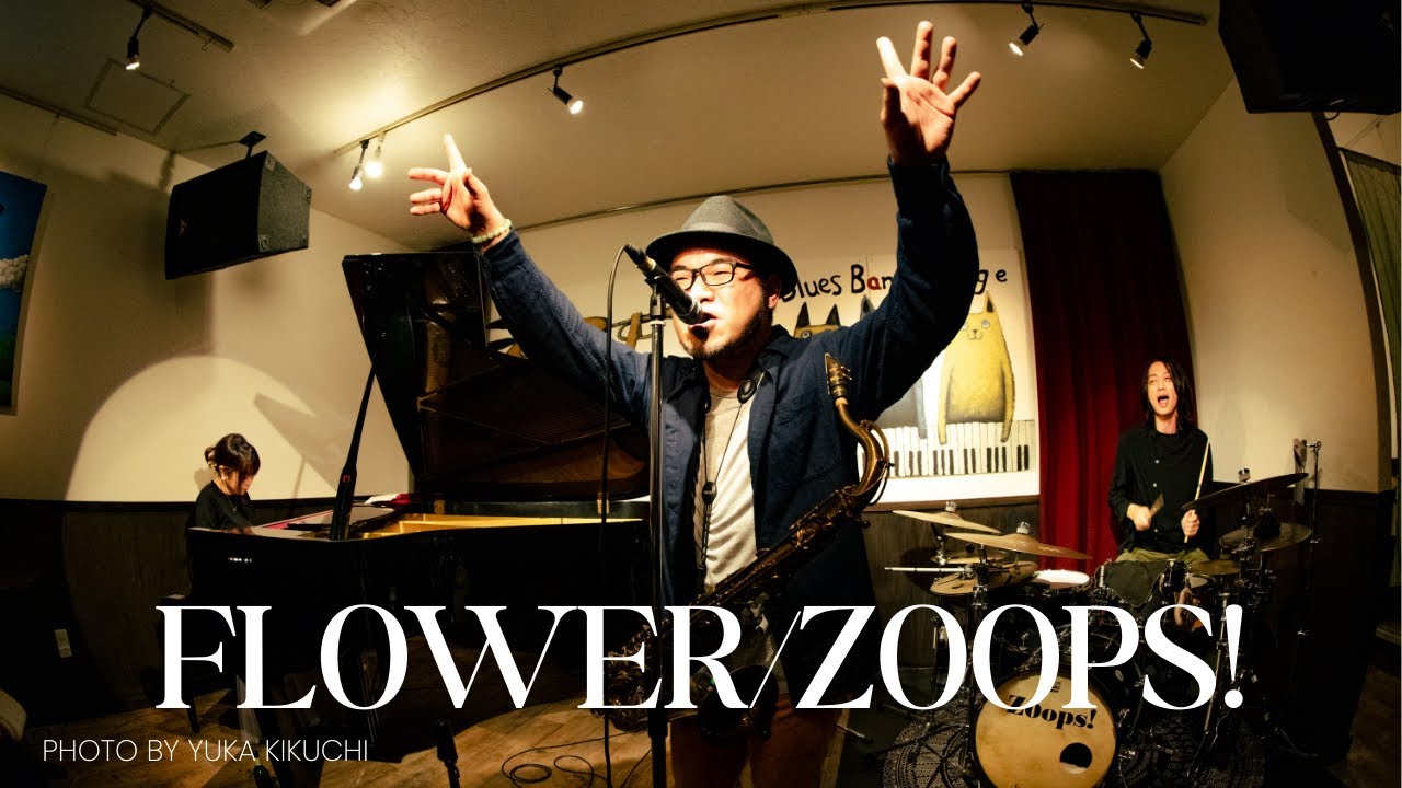 flower/Zoops!@villagejazzbluesbar5993   2026.02.11