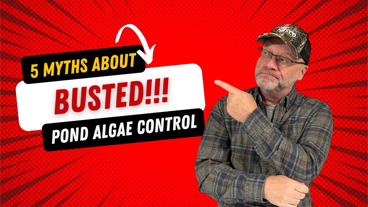 5 Myths About Pond Algae Control  - Updated For 2025!