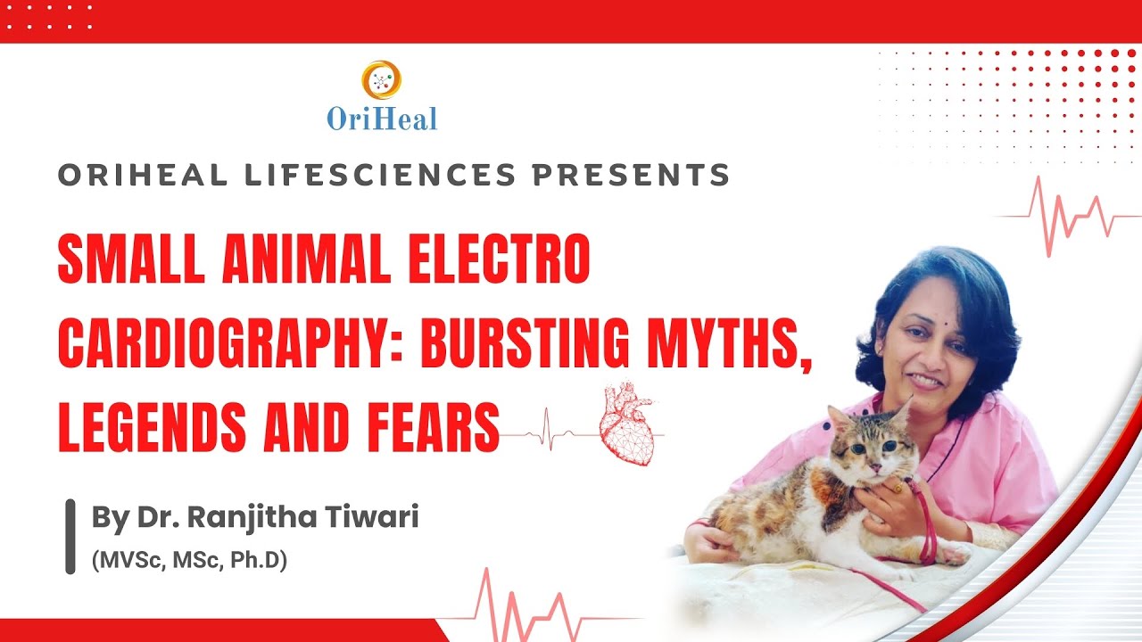 Small Animal Ecg: Bursting Myths, Legends & Fears by Dr. Ranjitha Tiwari