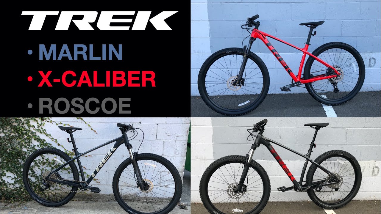 2021 Trek Marlin 7 vs X-Caliber 8 vs Roscoe 6 (In-Person Comparison)