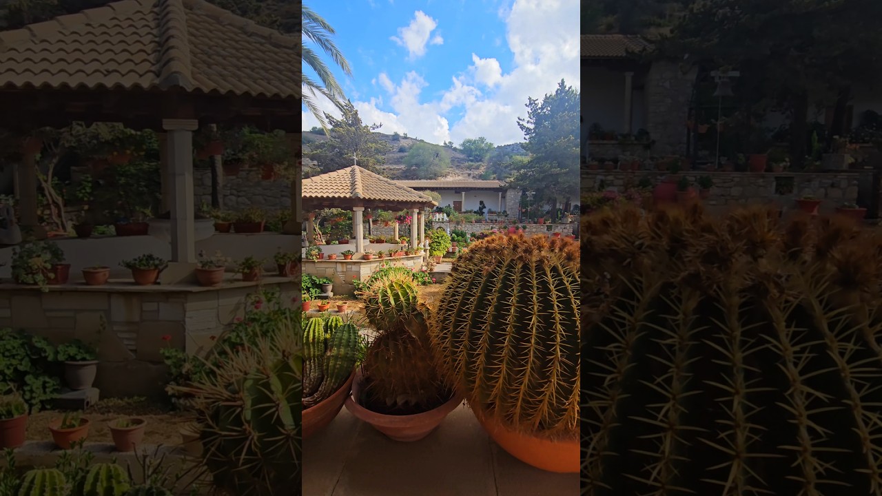 Magic garden of St. Panteleimon nunnery #cyprus #orthodox #magical #garden #nicosia #beautiful