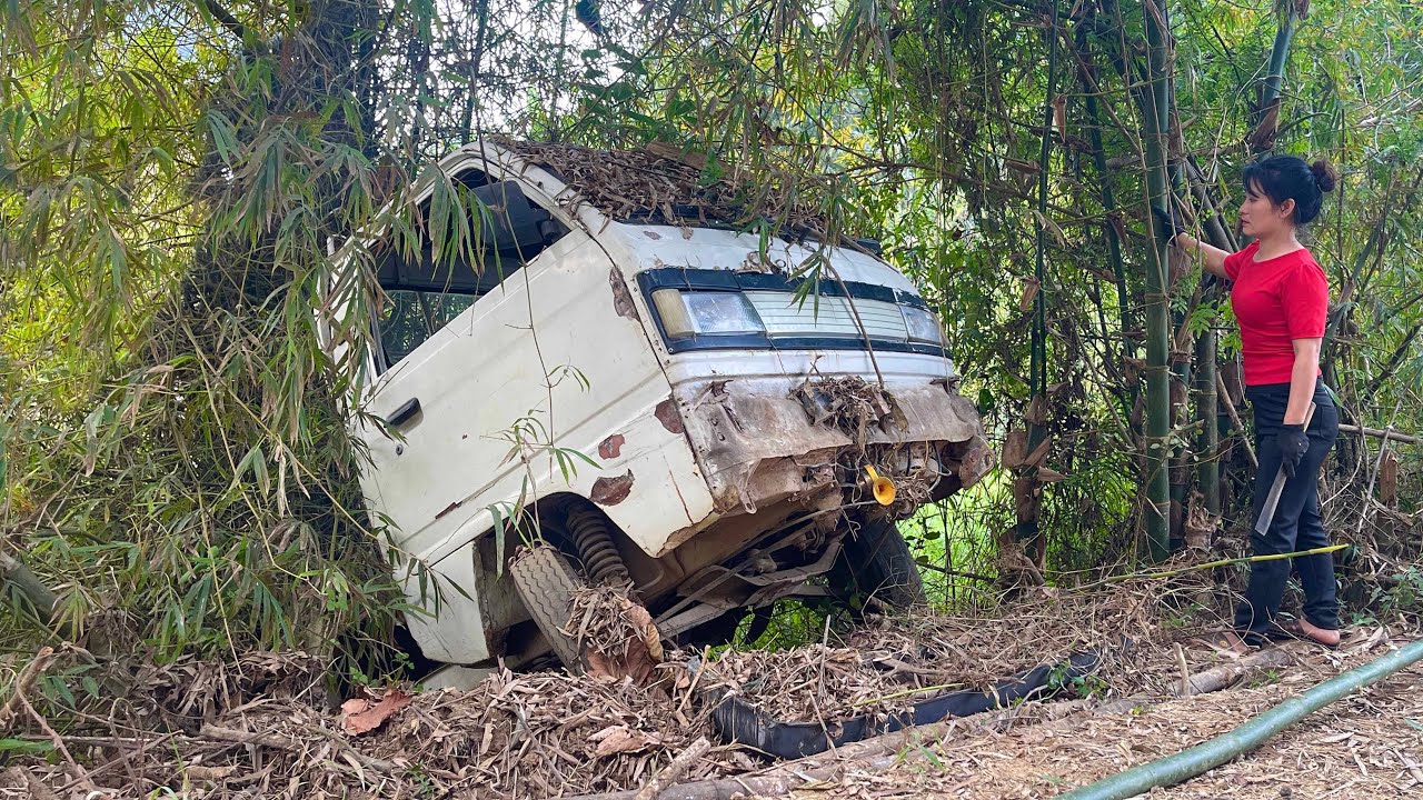 A car crashed into a bamboo bush, I pulled it up and will start fixing it.